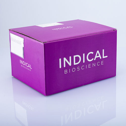 Kit di test veterinario - IndiMag Mastitis Kit - INDICAL BIOSCIENCE GmbH - per mastite / per estrazione del DNA / per purificazione del DNA