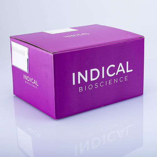 Kit di test veterinario - BioSprint 96 One-For-All Vet Kit - INDICAL BIOSCIENCE GmbH - per malattie infettive / per purificazione del DNA / per animali