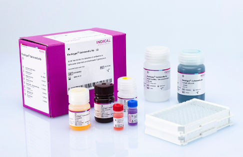 Kit di test veterinario - flocktype Salmonella Ab - INDICAL BIOSCIENCE GmbH - per pollame / batteriologico / della Salmonella