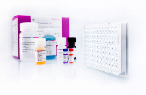 Kit di test veterinario - pigtype Trichinella Ab - INDICAL BIOSCIENCE GmbH - della tricomoniasi / per suini / per anticorpi