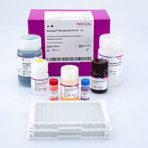 Kit di test veterinario - flocktype Mycoplasma Ms Ab - INDICAL BIOSCIENCE GmbH - per pollame / TMB / del micoplasma