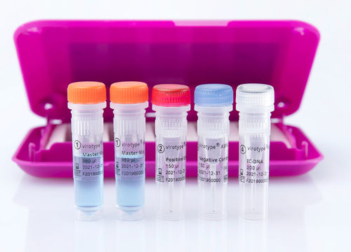 Kit di test veterinario - virotype ASFV 2.0 PCR Kit - INDICAL BIOSCIENCE GmbH - per malattie infettive / per suini / per DNA