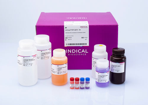 Kit di test veterinario - cattletype BHV1 gB Ab - INDICAL BIOSCIENCE GmbH - per bovini / TMB / di siero