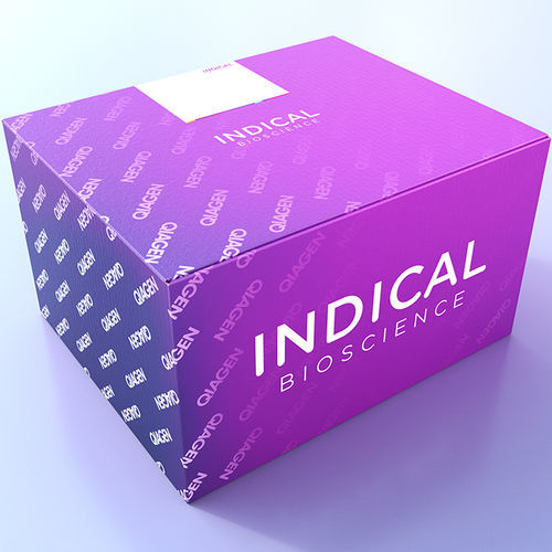 Kit di test veterinario - cador T. equigenitalis PCR Kit - INDICAL BIOSCIENCE GmbH - per equini / di Taylorella equigenitalis / Klebsiella pneumoniae