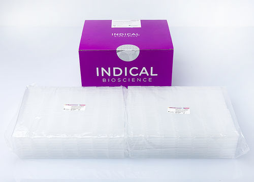 Micropiastra veterinaria - IndiMag 48 PW 24-Sample Block - INDICAL BIOSCIENCE GmbH - per stoccaggio di campioni / a 96 pozzetti / monouso