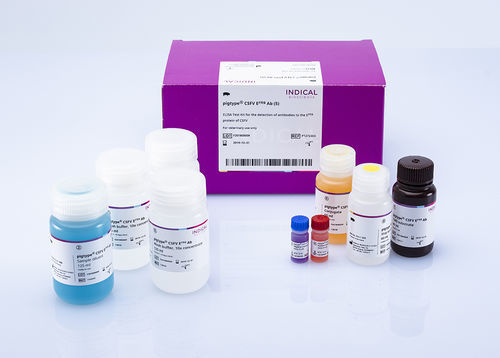 Kit di test veterinario - pigtype CSFV Erns Ab - INDICAL BIOSCIENCE GmbH - per suini / TMB / virale