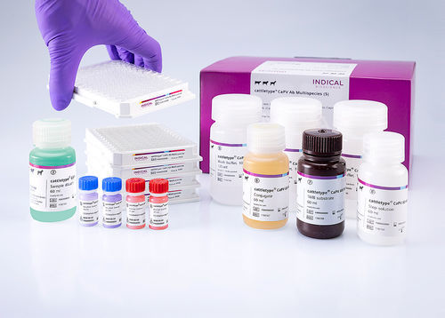 Kit di test veterinario - cattletype CaPV Ab Multispecies - INDICAL BIOSCIENCE GmbH - per bovini / per caprini / TMB