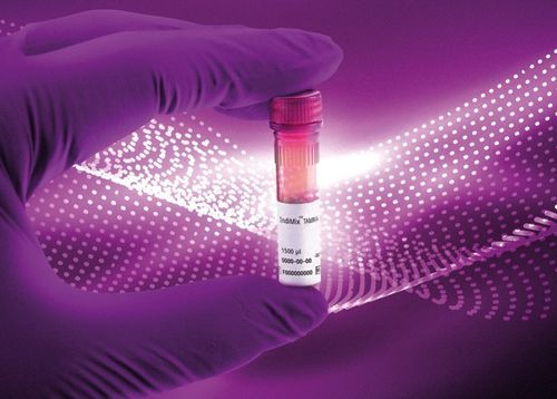 Reagente per laboratorio veterinario - IndiMix TAMRA - INDICAL BIOSCIENCE GmbH - enzima / mezzo reattivo / soluzione tampone
