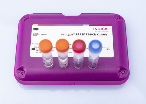 Kit di test veterinario - virotype PRRSV RT-PCR Kit - INDICAL BIOSCIENCE GmbH - per malattie respiratorie / per suini / del virus sinciziale respiratorio