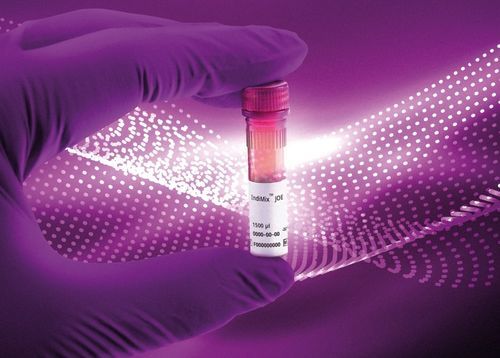 Reagente per laboratorio veterinario - IndiMix JOE - INDICAL BIOSCIENCE GmbH - enzima / soluzione tampone / transcrittasi inversa