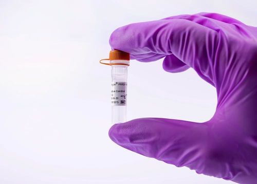 Reagente per laboratorio veterinario - virotype PRRSV PRO Positive Control - INDICAL BIOSCIENCE GmbH - standard / da ricerca / per qPCR