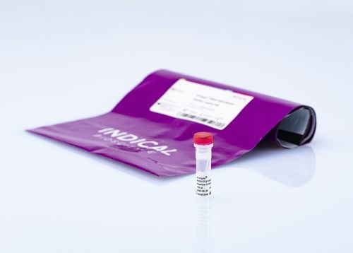 Reagente per laboratorio veterinario - virotype PEDV/TGEV/PDCoV Positive Control - INDICAL BIOSCIENCE GmbH - in soluzione / da ricerca / per estrazione di RNA
