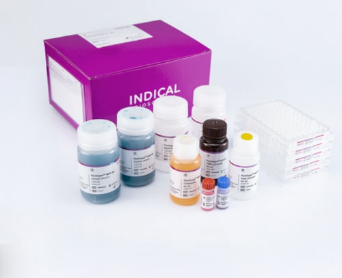 Kit di test veterinario - flocktype NDV Ab - INDICAL BIOSCIENCE GmbH - per diagnosi della malattia di Newcastle / per pollame / TMB