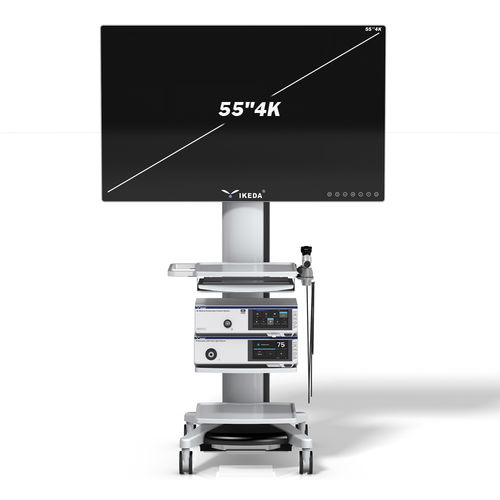 Fotocamera per endoscopio - YKD-9211 - AKX - medica / chirurgica / digitale