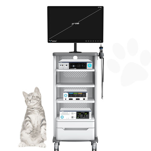 Gastroscopio veterinario video - AKX-9620 - AKX