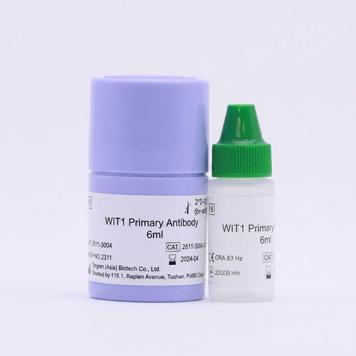 Reagente anticorpo - Beijing Strong Biotechnologies, Inc - di patologia / di tessuti paraffinati (FFPE) / per immunoistochimica