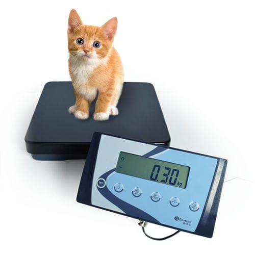 Bilancia veterinaria elettronica - APS - BAXTRAN - con piattaforma / a colonna / con monitor separato