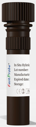 Reagente soluzione colorante -  CL-004 - Wuhan HealthCare Biotechnology Co., Ltd. - per istologia / di ibridazione / per coltura cellulare