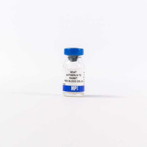 Reagente antisiero - 0855616 - MP Biomedicals - da ricerca / diagnostico / per tessuti