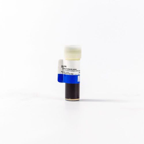 Reagente gel di agarosio - 112327204 - MP Biomedicals - tampone di caricamento / da ricerca / per elettroforesi