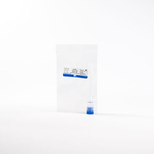 Reagente d'IgG - 0855961 - MP Biomedicals - anticorpo / antigeno / antisiero