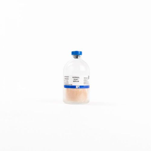 Reagente di siero - 08642921 - MP Biomedicals - anticorpo / siero di capra / albumina di siero bovino