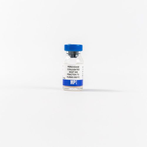 Reagente d'IgG - 0855226 - MP Biomedicals - enzima / anticorpo / da ricerca