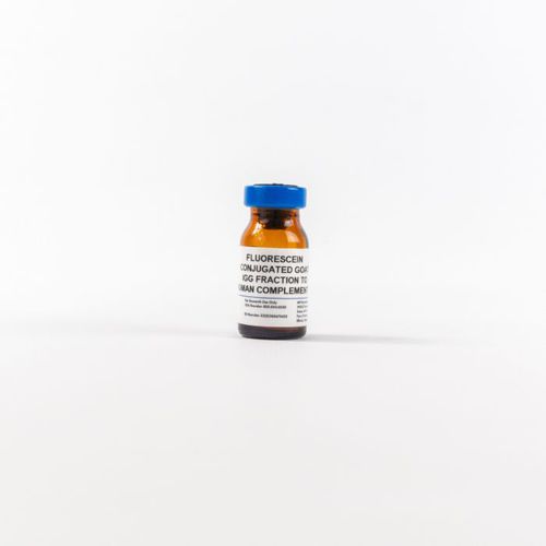 Reagente d'IgG - 0855167 - MP Biomedicals - anticorpo / per ELISA / per tessuti