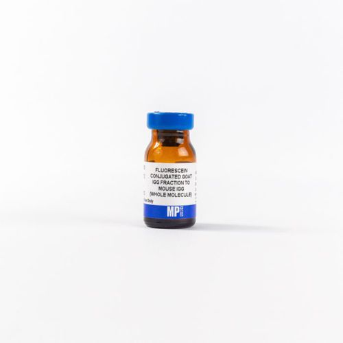Reagente d'IgG - 0855493 - MP Biomedicals - anticorpo / da ricerca / per tessuti