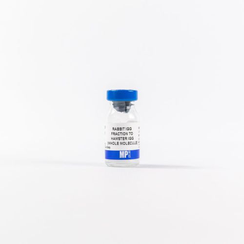 Reagente di proteine - 0855398 - MP Biomedicals - enzima / anticorpo / da ricerca