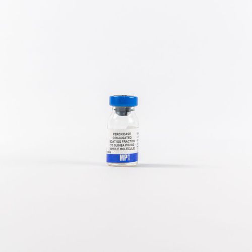 Reagente d'IgG - 0855391 - MP Biomedicals - enzima / anticorpo / da ricerca