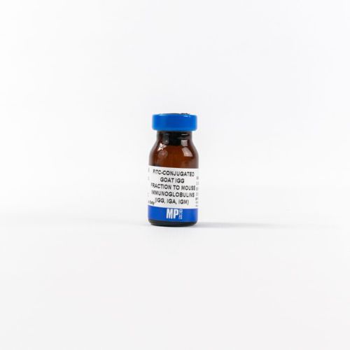 Reagente d'IgG - 0855499 - MP Biomedicals - anticorpo / da ricerca / per immunoistochimica