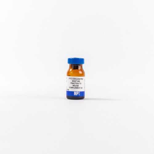 Reagente d'IgG - 0855500 - MP Biomedicals - anticorpo / colorante / da ricerca