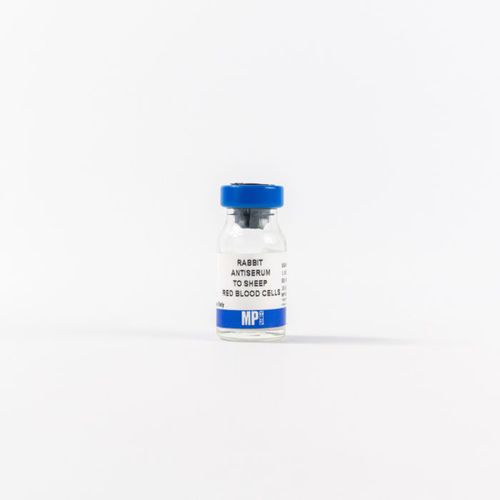 Reagente di proteina totale (TP) - 0855800 - MP Biomedicals - anticorpo policlonale / da ricerca / per tessuti