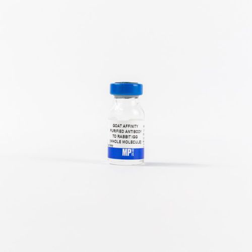 Reagente d'IgG - 0855641 - MP Biomedicals - anticorpo / enzima / da ricerca