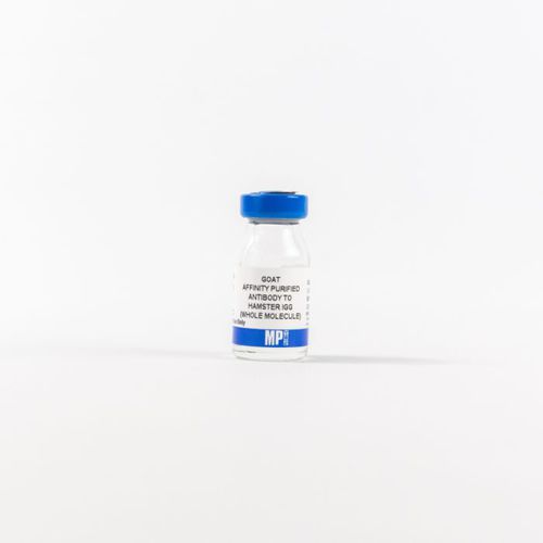Reagente d'IgG - 0856984 - MP Biomedicals - anticorpo / da ricerca / per tessuti