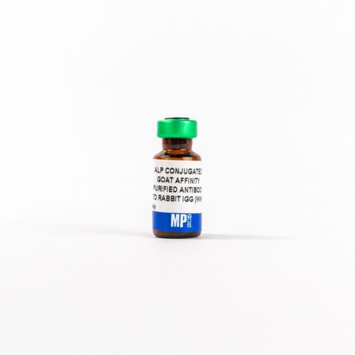 Reagente d'IgG - 0859298 - MP Biomedicals - anticorpo / da ricerca / per tessuti