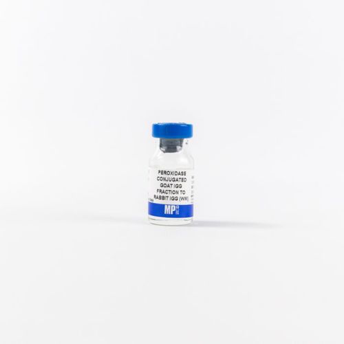 Reagente d'IgG - 0855676 - MP Biomedicals - di siero / siero di capra / antisiero