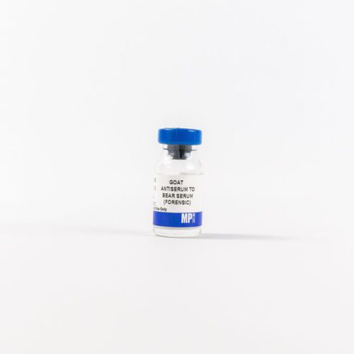 Reagente di proteine - 0856009 - MP Biomedicals - anticorpo / antisiero / da ricerca