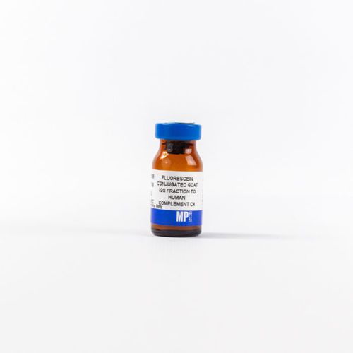 Reagente d'IgG - 0855168 - MP Biomedicals - anticorpo / da ricerca / per immunoistochimica