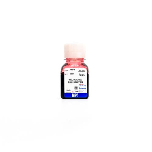 Reagente in soluzione - 091691149 - MP Biomedicals - da ricerca