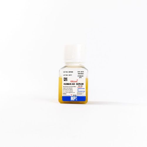Reagente di proteine - 092931949 - MP Biomedicals - di siero / da ricerca / per coltura cellulare