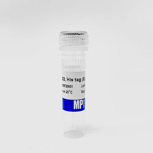 Reagente di proteine - 0872060-CF - MP Biomedicals - mezzo reattivo / da ricerca / dell'Escherichia coli