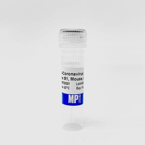 Reagente di proteine - 0872030-CF - MP Biomedicals - anticorpo / anticorpo monoclonale / da ricerca