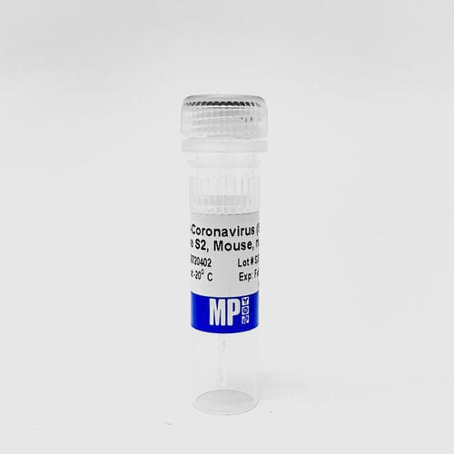 Reagente di proteine - 08720402 - MP Biomedicals - anticorpo / anticorpo monoclonale / da ricerca
