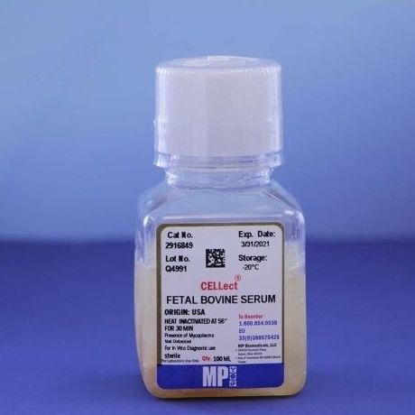 Reagente siero di vitello fetale - 0929168-CF - MP Biomedicals - per coltura cellulare / da ricerca / liquido