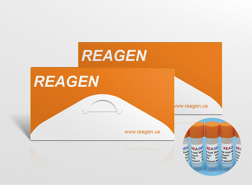Reagente antigeno - RMH88813AG - Reagen - per ricerca scientifica / liquido / a chemiluminescenza