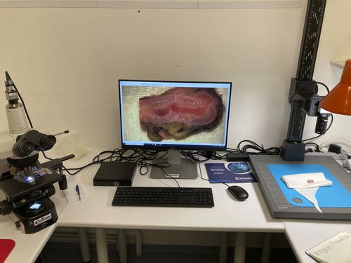 Stazione d'imaging macroscopica per istopatologia - PathScan Macro - Excilone
