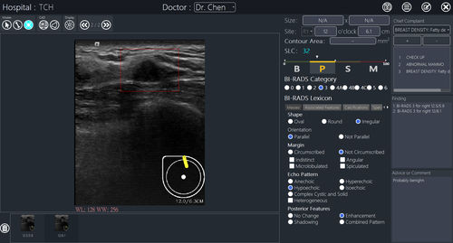 Software per reportistica - BR-FHUS Viewer™ - TaiHao Medical - visualizzatore / diagnostico / per screening del tumore al seno