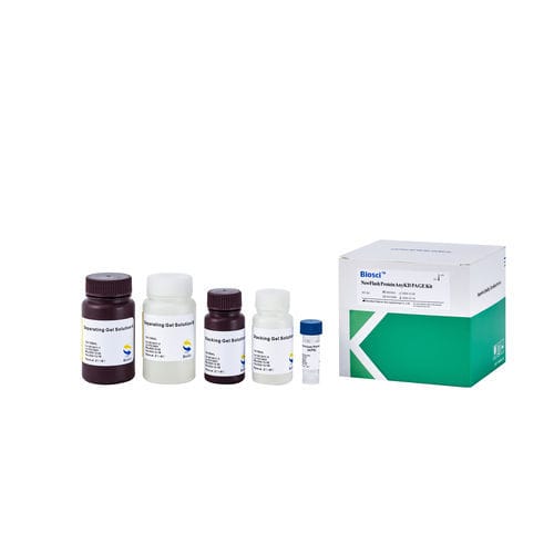 Reagente per western blot - BioSci™  - Dakewe (Shenzhen) Medical Equipment Co., Ltd. - in soluzione / da ricerca / di proteine